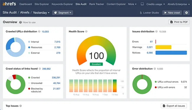 Technical SEO audit with 100 Health Score in Ahrefs